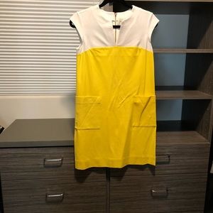 Midi dress NWOT